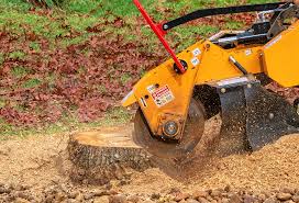 Best Emergency Tree Removal  in Oshkosh, WI