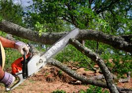 Best Lawn Grading and Leveling  in Oshkosh, WI