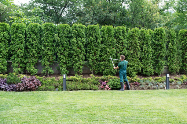 Best Pest Control for Lawns  in Oshkosh, WI