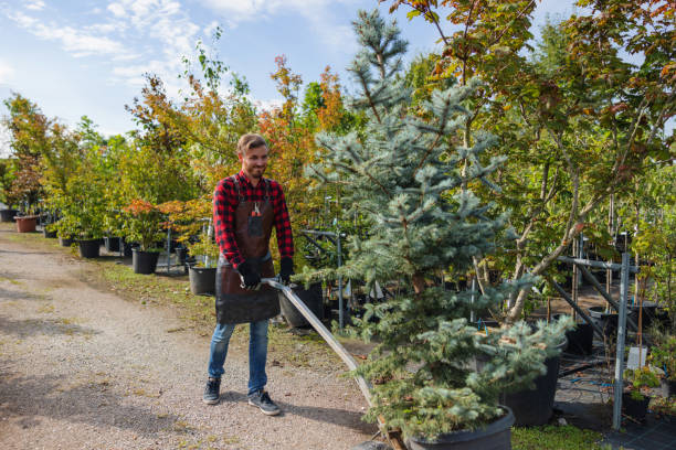 Best Palm Tree Trimming  in Oshkosh, WI